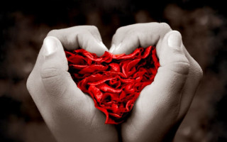 Heart shaped cloth hands black - free hearts wallpaper