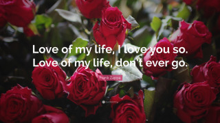 Red roses quote beautiful love - my life free wallpaper