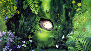 Forest hole flowers plants bird - a painting of a forest free wallpaper