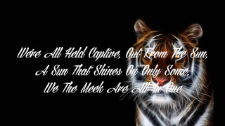 Tiger quote image design - eye free wallpaper for desktop