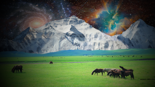 Horses grazing field mountain stars - a group of horses free wallpaper