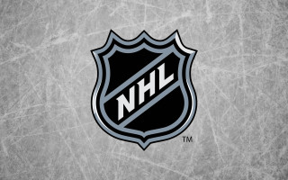 Hockey logo gray background sticker - side and the words free wallpaper