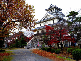 Tall white building tower trees 4 - eishōsai chōki free wallpaper