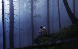 Man sitting mossy rock forest - mossy free wallpaper