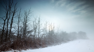 Snowy landscape trees road sun - a snowy landscape free wallpaper for desktop