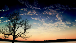 Tree silhouette sunset sky clouds 2 - the background and a body of water free wallpaper for desktop