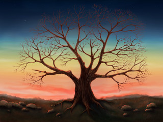 Tree no leaves sunset sky - a painting of a tree free wallpaper