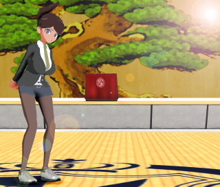 Woman suitcase room tree red - a room free wallpaper for desktop