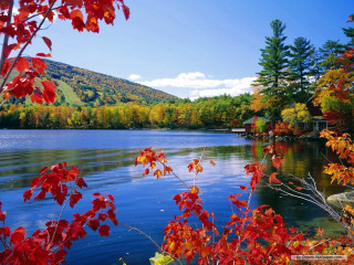 Lake fall colors trees mountain - fall free wallpaper for desktop