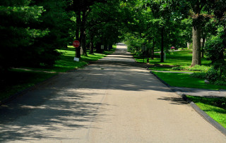 Street stop sign trees lining - a stop sign free wallpaper for desktop