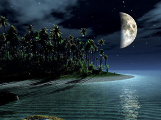 Turtle swimming ocean full moon - dreamlike free wallpaper for desktop