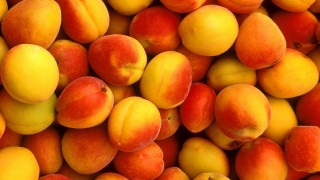 Peaches apricots pile peach closeup - a pile free wallpaper