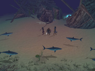 Beach people sharks ocean night - a sandy beach next free wallpaper