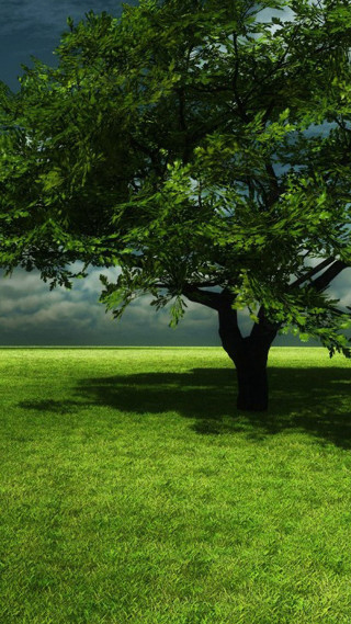 Tree field cloudy sky bench - environmental free wallpaper for mobile