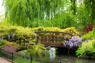 Bridge pond trees flowers park - free spring wallpaper