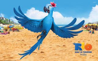 Blue bird red flower flying - pixar and disney animation free wallpaper