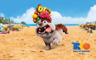 Cartoon character running beach fruit - free dogs wallpaper for desktop