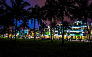Night time building palm trees - art deco free wallpaper