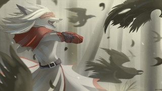 Woman white dress red cape - bird free wallpaper for desktop