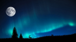 Full moon deer aurora night - albert bierstadt free wallpaper