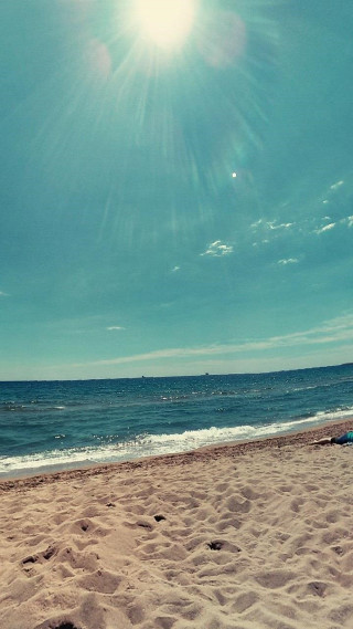 Beach surfboard person sitting sun - free beach wallpaper for mobile