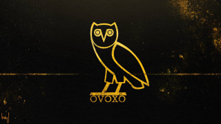 Yellow owl black surface ovoxo - chinwe chukwuogoroy free wallpaper for desktop
