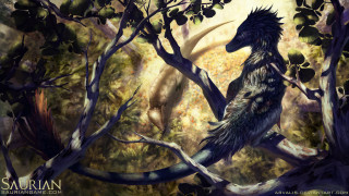 Bird sitting tree branch forest 2 - digital painting free wallpaper for desktop