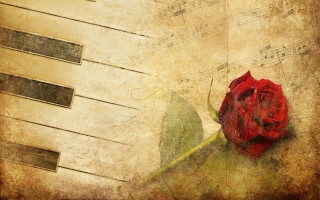Red rose piano keyboard music - composition free wallpaper