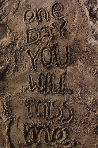Sand message dog cat one - free beach wallpaper for mobile