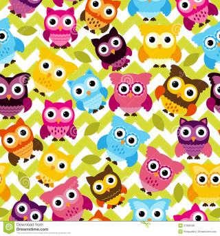 Colorful pattern owls green background - a colorful pattern free wallpaper