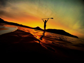 Person surfboard water sunset paddle - david boyd free wallpaper for desktop