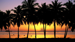 Sunset palm trees boat purple 2 - felipe seade free wallpaper