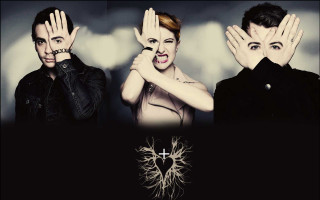 Couple covering faces hands cross - their face free wallpaper for desktop