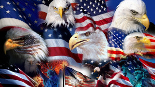 Bald eagles american flags blue - glorious free wallpaper