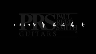 Paul reed smith guitar birds - private press free wallpaper for desktop