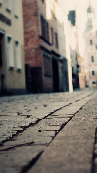 Small dog walking brick street - shallow depth of field free wallpaper for mobile