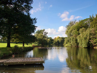 Lake dock trees grassy people - plein air free wallpaper