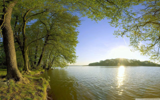 Lake trees forest sunlight nature - the other side of it free wallpaper