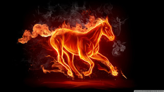 Horse running fire field flames - a horse free wallpaper for desktop