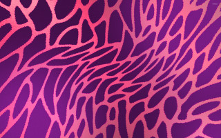 Purple pink background lines curves 2 - texture free wallpaper