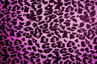 Pink black leopard wallpaper warhol - andy warhol free wallpaper