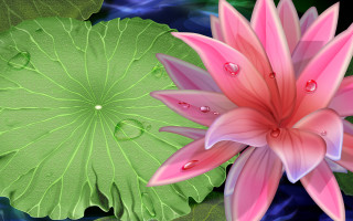 Pink flower green leaves water 2 - a digital painting free wallpaper for desktop