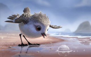 Bird beach water sand beak - its beak open free wallpaper