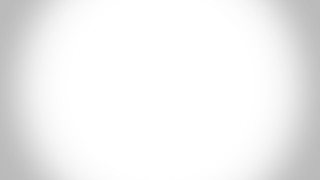 Cat dog bench black white 2 - behance hd free wallpaper