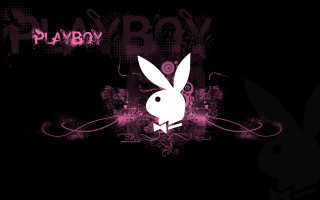 Rabbit standing dark pink background - pop art free wallpaper