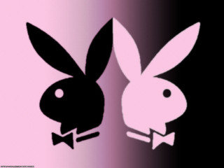 Rabbit bowtie popart gradient background - pop art free wallpaper for desktop