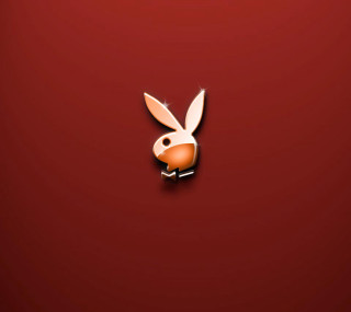 Rabbit red background white head - free animals wallpaper for tablet