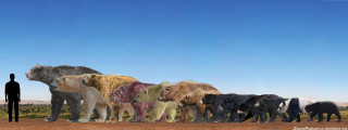 Elephants dinosaur kaijuu mountain desert - a herd of elephants free wallpaper