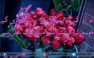 Bouquet red roses quote foreign - foreign free wallpaper