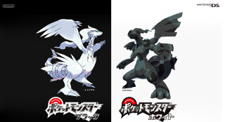 Pokemon character black white red - ada gladys killins free wallpaper for desktop